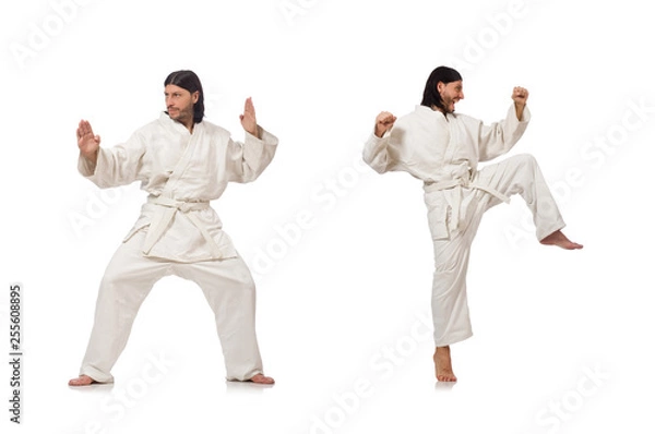 Obraz Karate fighter isolated on white