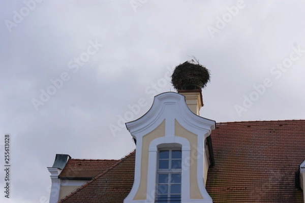 Obraz storch nest vogel 