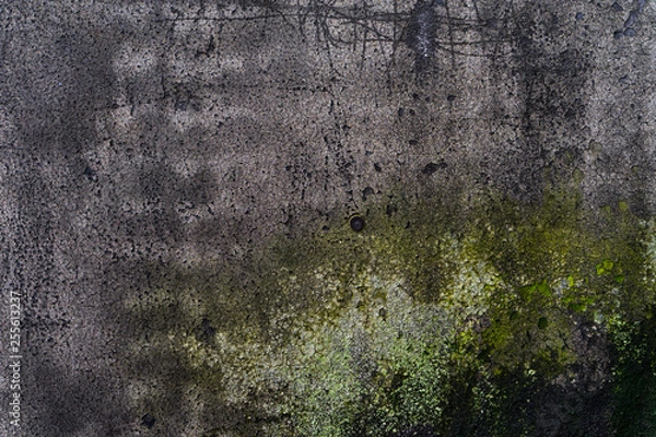 Fototapeta abstract aged background
