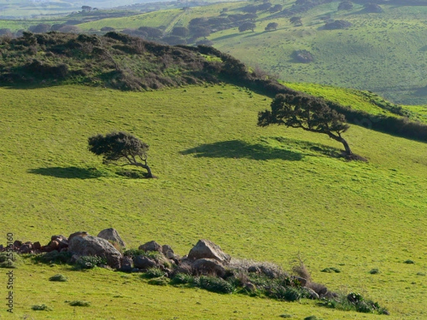 Obraz sardegna: dove soffia il maestrale