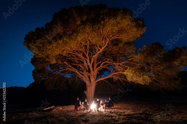 Obraz Group of people gathered around acampfire under a great tree.