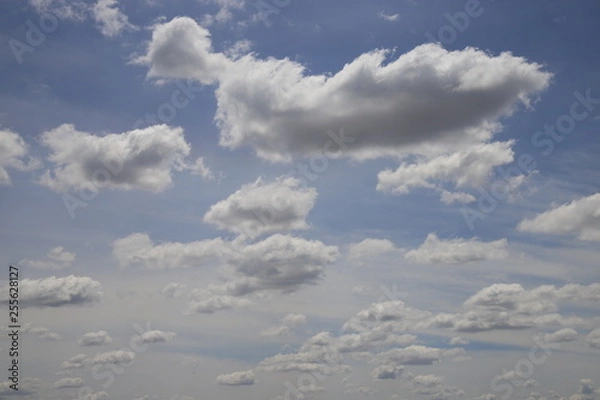 Obraz blue sky and clouds