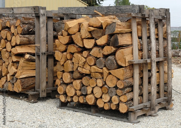 Obraz bois de chauffage