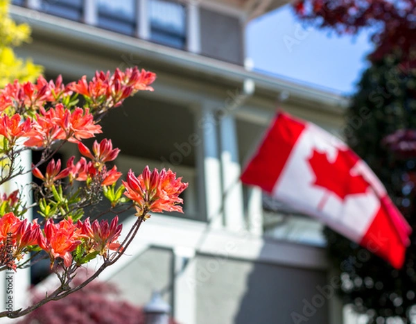 Fototapeta A middle class home with flowers in the foreground and a Canadian flag waving in the background.