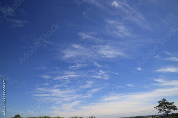 Obraz blue sky and clouds