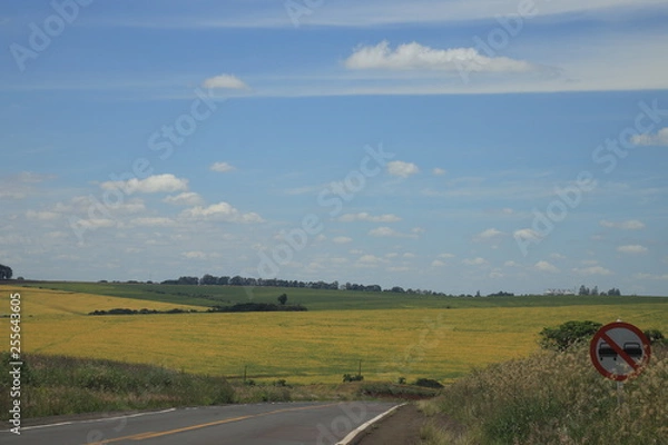 Obraz magnificent sky in the morning in Santo Ângelo RS Brazil.
