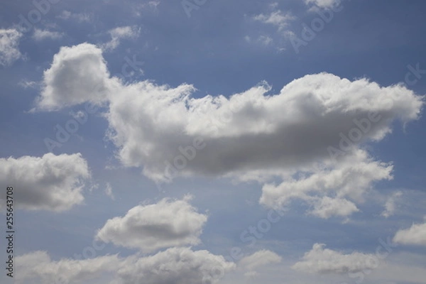 Obraz sky and white cloads.