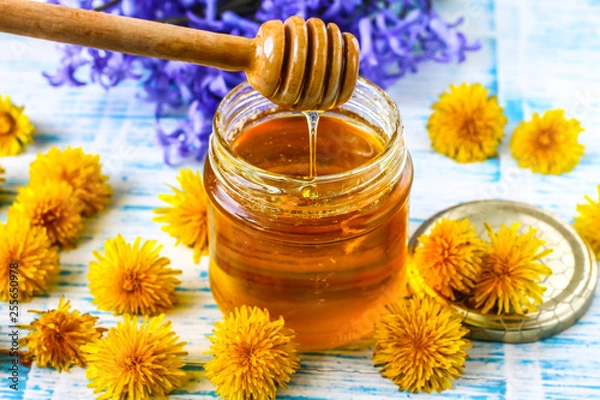 Obraz Honey from dandelions. Dandelion Honey in a Glass Jar.