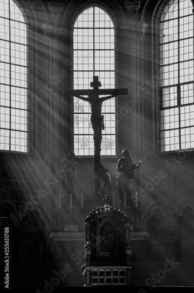 Fototapeta Light beams through