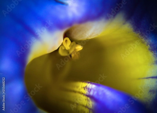 Fototapeta OLYMPUS DIGITAL CAMERA