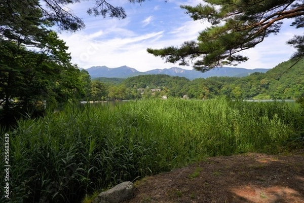 Fototapeta 松原湖