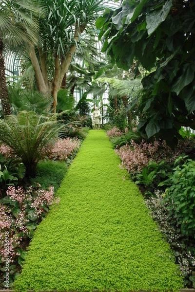 Obraz tropical garden