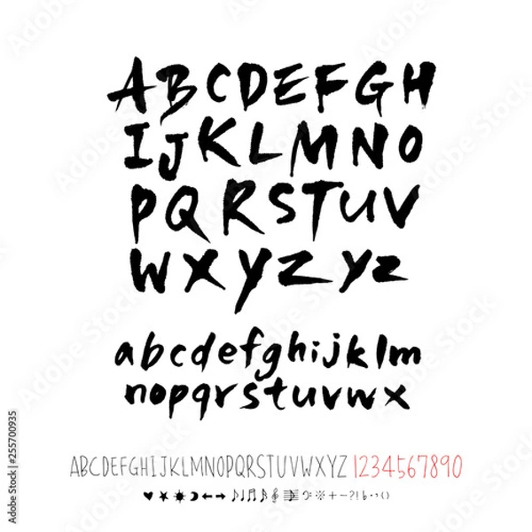 Fototapeta 벡터 문자 / 손으로 쓴 글씨체