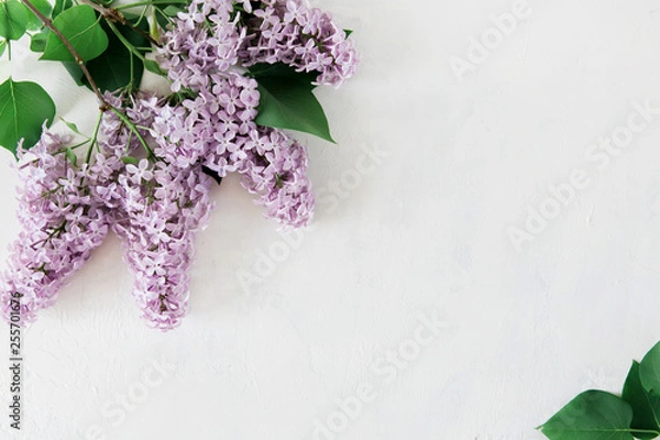 Fototapeta Frame of flowers of lilac on a white background with a texture. Bouquet of lilac color flat lay, top view image