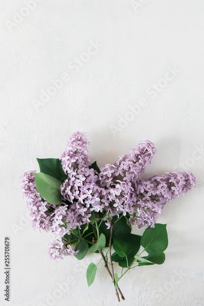 Fototapeta Bouquet of lilac on a white textural background. Spring flowers flat lay, top view image