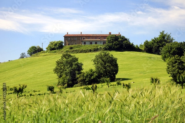 Obraz casale su collina erbosa