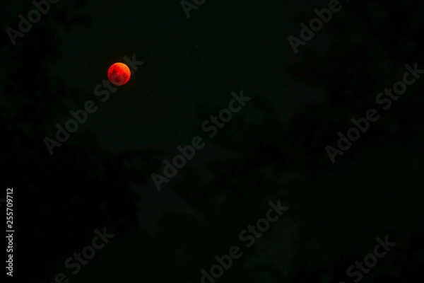 Obraz Bloodmoon