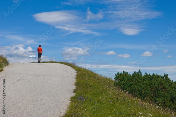 Fototapeta Man walking