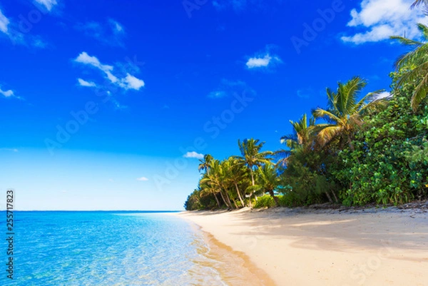 Obraz View of the sandy beach, Cook Islands, South Pacific. Copy space for text.