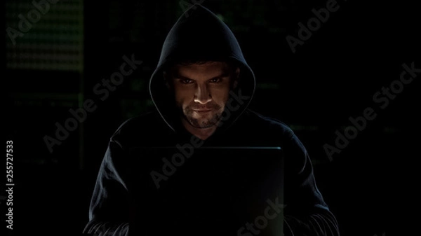 Obraz Hacker in hoodie using laptop and looking into camera with evil eyes, malware