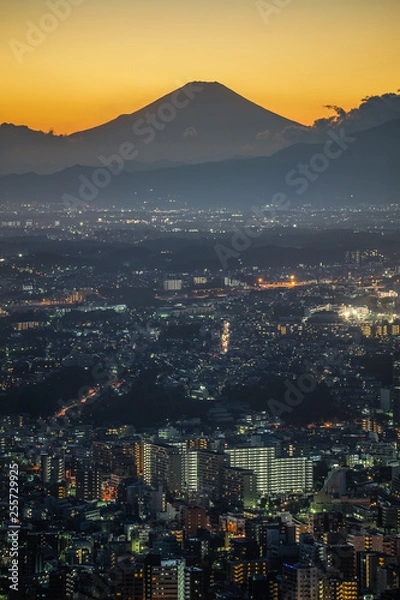 Fototapeta 富士山のシルエットと横浜の街並み
