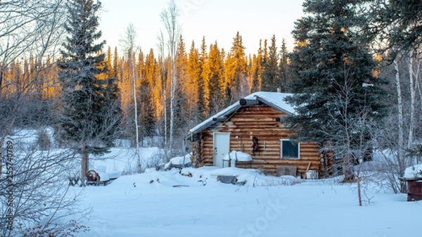 Obraz Trappers cabin in the winter