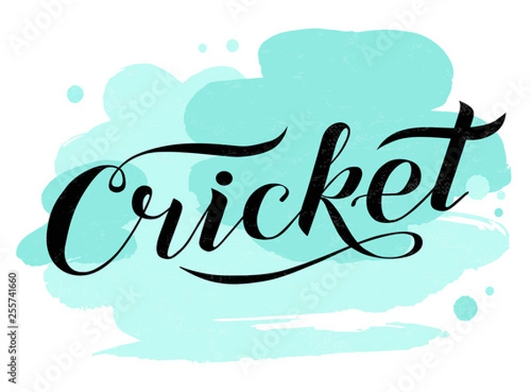 Fototapeta Hand drawn Cricket lettering text on white background with turquoise spots, vector illustration. Vector calligraphy. Sport, fitness vector design. Print for logo, banner,competition, T-shirt and caps.