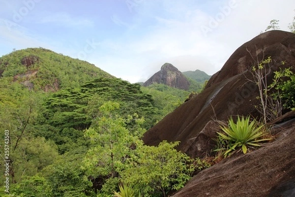 Obraz Mountain landscape. Green tropical trees on the mountain slopes.