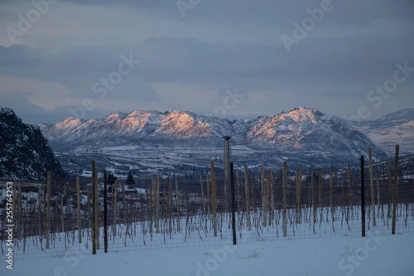 Fototapeta Valley Sunset