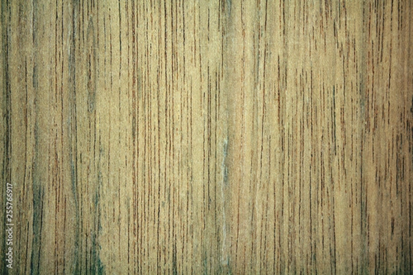 Obraz colored wood texture closeup