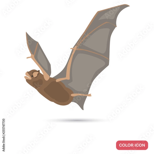 Fototapeta Bat olor flat icon for web and mobile design
