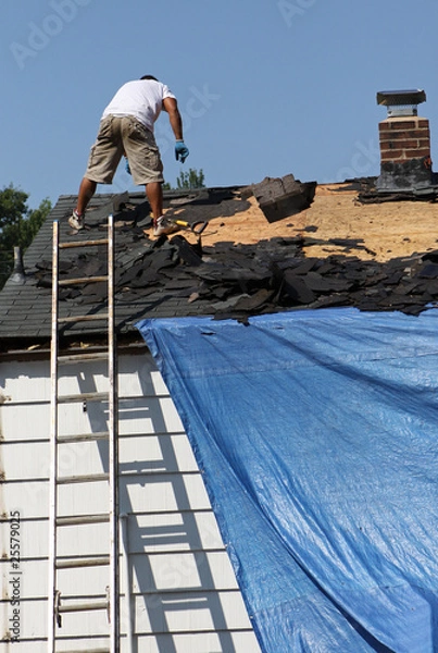 Obraz Getting a New Roof