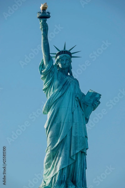 Obraz Standing Proud