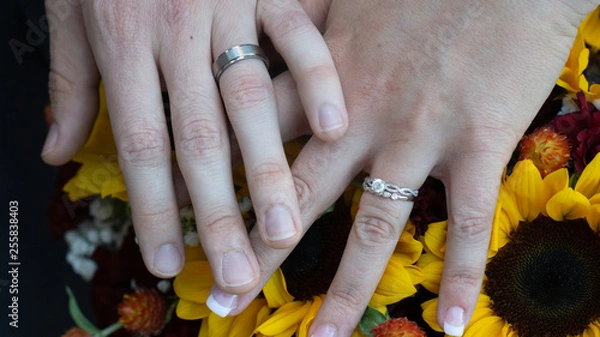 Obraz bride and groom