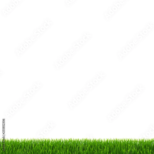 Fototapeta Grass Border Isolated