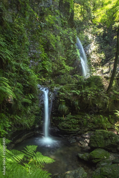 Fototapeta 埼玉_黒山三滝