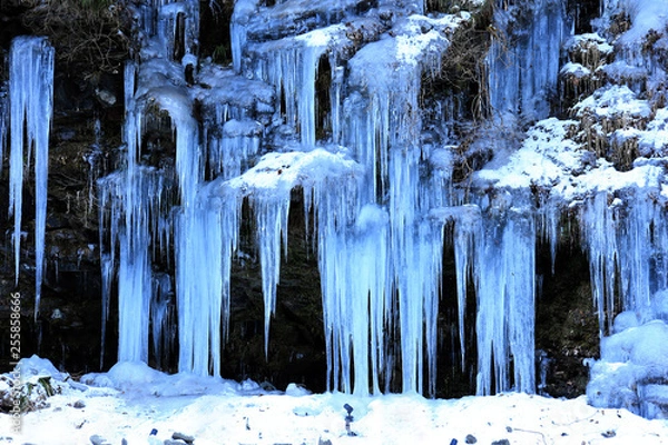 Fototapeta 埼玉_秩父氷柱