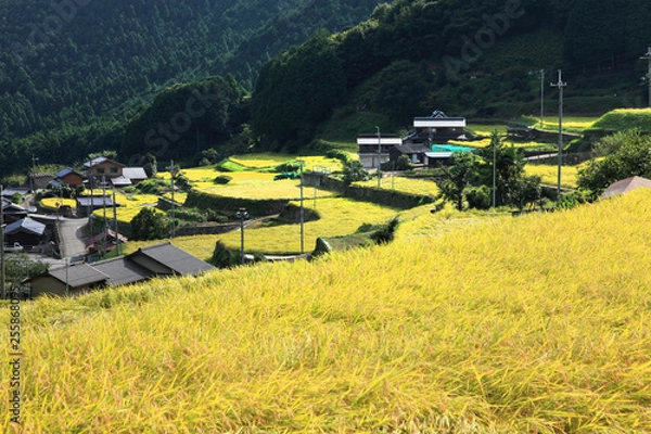Obraz 兵庫-岩座神