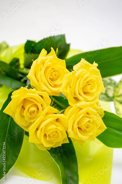 Obraz イエローバラ5本の花束