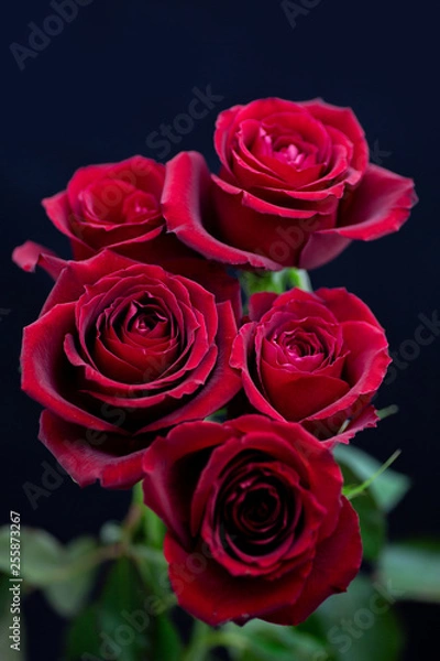 Obraz 5本の真紅のバラ