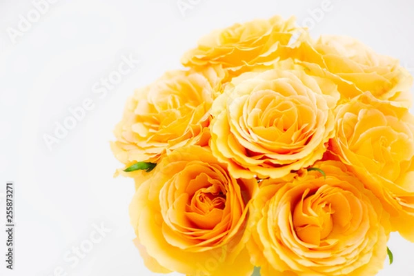 Obraz オレンジのバラの花束