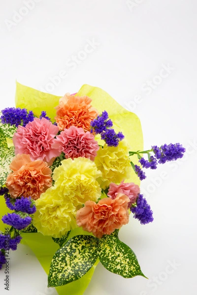 Obraz 3色のカーネーションの花束・母の日