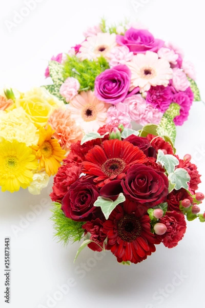 Obraz バラ・ガーベラ・カーネーション・ガーベラの3色のアレンジメント