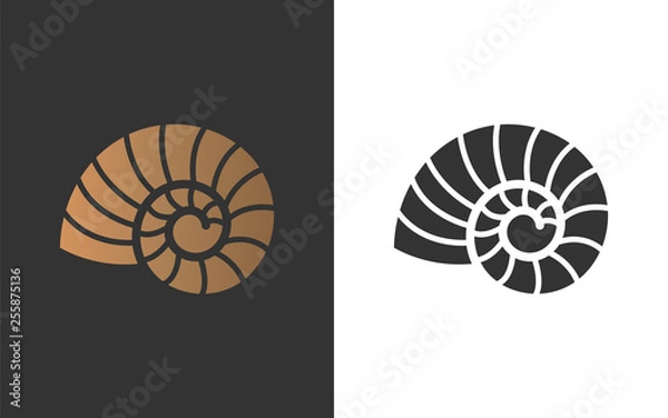 Obraz kopia nautilus