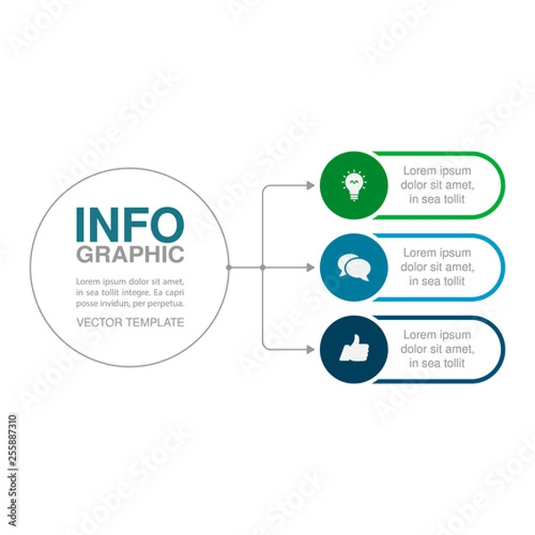 Fototapeta Vector iInfographic template for business, presentations, web design, 3 options.