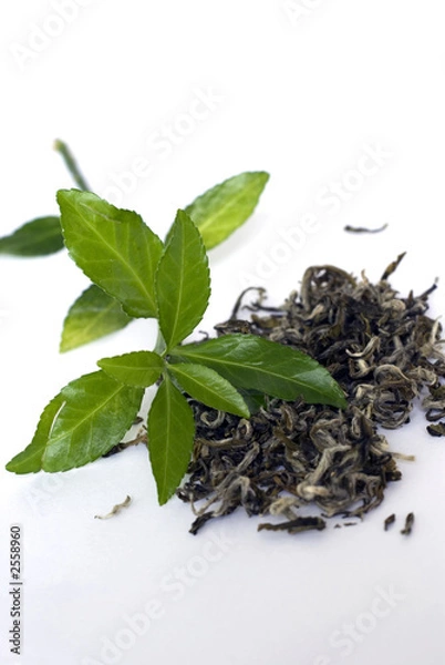 Obraz Zielona herbata