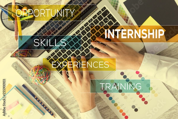 Obraz INTERNSHIP CONCEPT