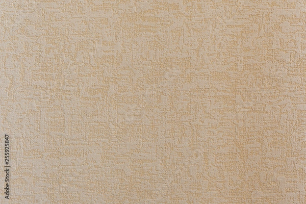 Obraz light brown texture pattern