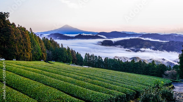 Obraz 冬の富士山、日本の絶景、霊峰富士、清水吉原と雲海
