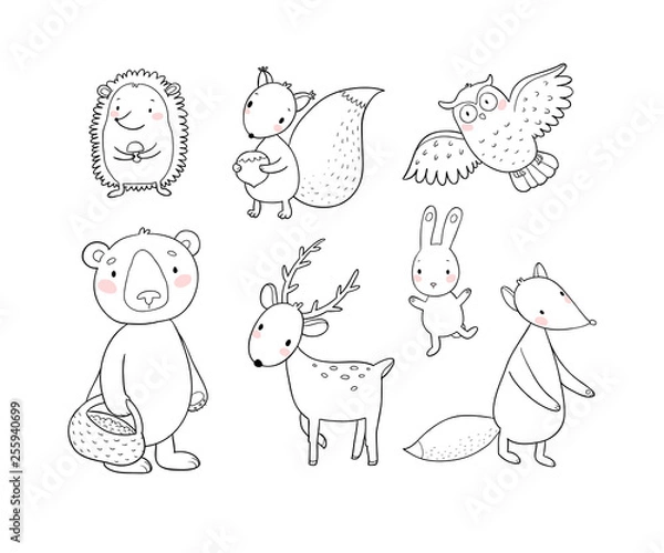 Fototapeta Animals of the forest. Set with cute cartoon bears, fox, hare and squirrel, owl and deer. Design for children - Vector